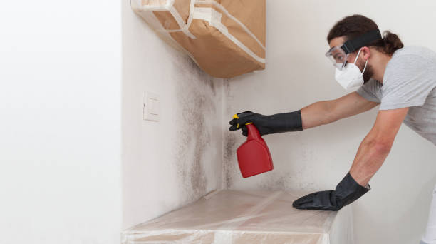 Professional Hvac And Air Duct Mold Remediation technician working in Mount Royal, NJ